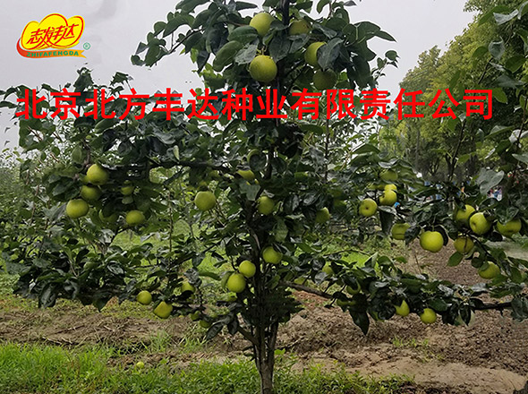 �������������ҵ���޹�˾